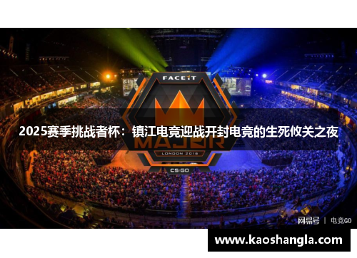 2025赛季挑战者杯：镇江电竞迎战开封电竞的生死攸关之夜