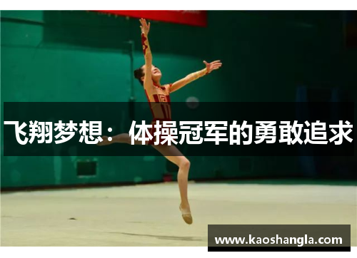 飞翔梦想：体操冠军的勇敢追求