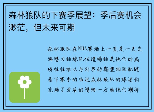 森林狼队的下赛季展望：季后赛机会渺茫，但未来可期