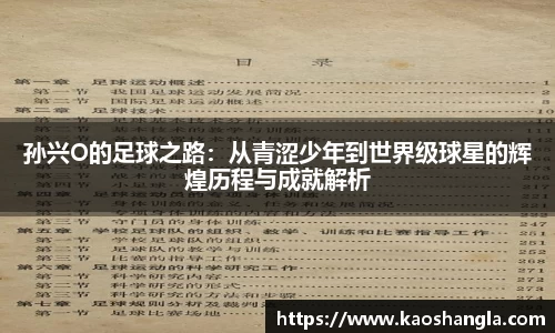 孙兴O的足球之路：从青涩少年到世界级球星的辉煌历程与成就解析